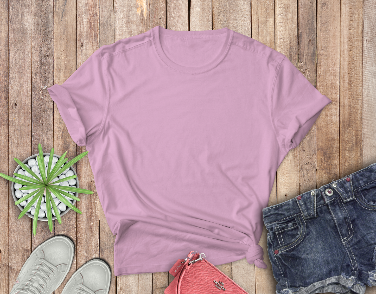 Passenger Princess Coquette Tee or Crew